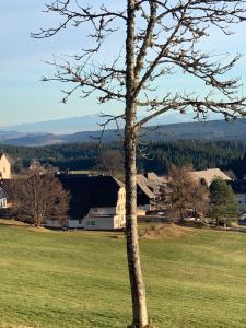 倫茨基希的住宿－Schwarzwald-Blick Lenzkirch-Saig，相簿中的一張相片