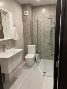 La salle de bains est pourvue de toilettes et d'une douche en verre. dans l'établissement Apartment Qumli, à Goudaouri