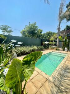 a swimming pool in a yard with plants at Studio Kay in Benoni