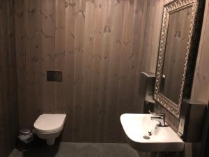 a bathroom with a sink and a toilet and a mirror at Hytte på Myhre Gård in Skammestein