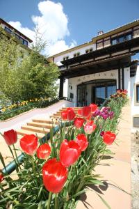Zahrada ubytování HOTEL SPA MONTANA