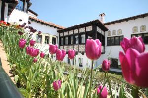 Zahrada ubytování HOTEL SPA MONTANA