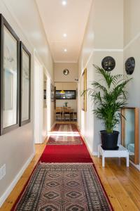 a hallway with a red rug and a potted plant at Entire 5 Bedroom 5 Bathroom Sea Point Villa with Secure Parking in Cape Town