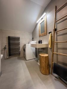 Koupelna v ubytování Apartmány Panorama Harrachov + 32 fotografií