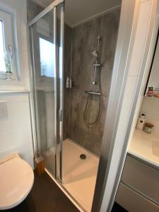 uma cabina de duche na casa de banho com WC em NEW - Private Residence - on a lake near Amsterdam em Vinkeveen