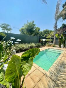 una piscina en un patio con plantas en Studio Gray en Benoni
