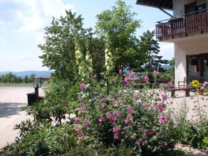 Foto dalla galleria di Hotel Wildenburger Hof a Kempfeld