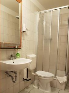 a bathroom with a toilet and a sink and a shower at Ritterhof Kampehl in Neustadt +28 photos