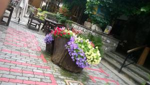 two wooden planters filled with flowers on a sidewalk at Albergo Martinet in Vernante