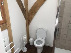 a small bathroom with a toilet and a shower at Le Séchoir in Beaulieu-sur-Dordogne