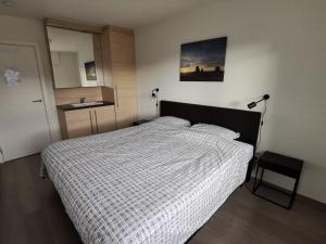 ミッデルケルケにあるAppartement Beachview Westendeのベッドルーム(ベッド1台、シンク付)