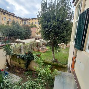 Zahrada ubytování Amalia Suites - Via San Zanobi