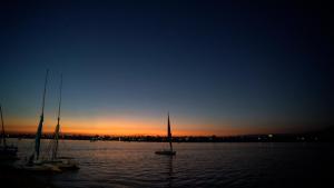 a group of sailboats in the water at sunset at Lotus Luxor Hotel in Luxor