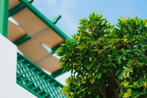 A garden outside Aelia Apartments & Suites