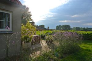 Ogród w obiekcie De Heerlykheid