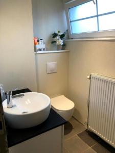 een badkamer met een wastafel, een toilet en een raam bij Julie's Place in Westerlo
