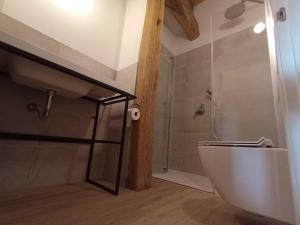 a bathroom with a shower and a white toilet at Mokorroko Borda Hostal Rural in Echalecu