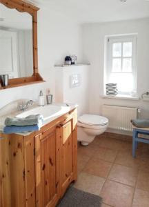 a bathroom with a sink and a toilet at Alte Stellmacherei - Ferienwohnung 2 in Riepsdorf