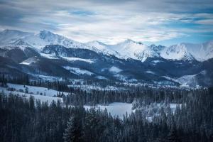 Imagem da galeria de Dom na Brzyzku em Poronin