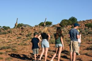 um grupo de pessoas em pé em uma colina olhando girafas em Royal Karoo Safari Lodge em Steytlerville