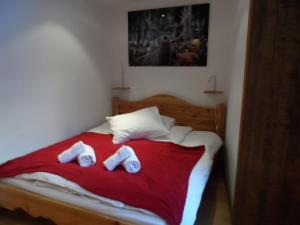 เตียงในห้องที่ Prachtig familie appartement voor 6 personen in het hart van Argentière, Chamonix Mont-Blanc