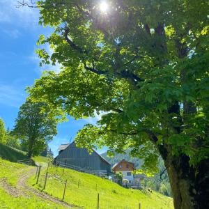 Loodusmaastik of the country house lähedal