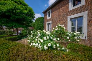 Gallery image of B&B Haspenhoeve in Tongeren