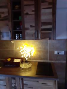 a kitchen counter with a vase with flowers on it at Vila PARADIZO-ZLATAR, studio apartman 1 in Nova Varoš