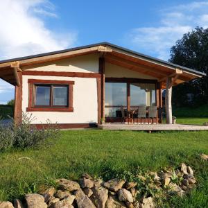 a small cottage with a porch and grass at elephants Ferienhaus Haus West in Jahnsdorf
