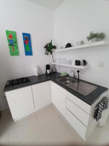 Kuhinja oz. manjša kuhinja v nastanitvi C APARTMENT at JAN THIEL Curacao