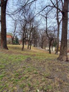Fotografia z galérie ubytovania Centrum Apartament Bolka v destinácii Świdnica
