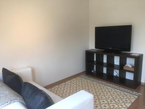 Μια τηλεόραση ή/και κέντρο ψυχαγωγίας στο Nasu Townhouse N-3