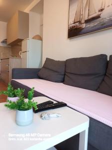 ein Wohnzimmer mit einem Sofa und einem Tisch in der Unterkunft Apartments Ivančić in Novi Vinodolski