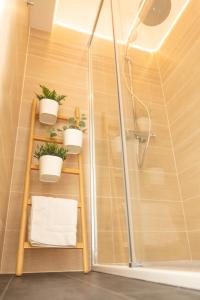 een douche met potplanten op een plank in een badkamer bij Sweet Aulne in Joigny