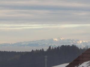 uma vista para as montanhas cobertas de neve à distância em Gästehaus Alpensicht em Grafenhausen