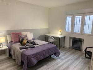 1 dormitorio con 1 cama con manta morada y escritorio en Mirrooms, en Oviedo