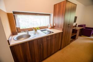 a bathroom with a sink and a window at Apart-Invest Nieruchomości Studio 30 in Szklarska Poręba