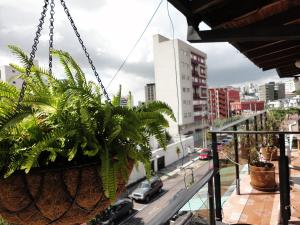 Balcone o terrazza di Hotel Rincón Escandinavo