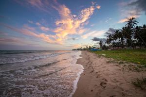 a beach with palm trees and a cloudy sky at Condomínio Praias de Maragogi & Casas Deluxe in Maragogi