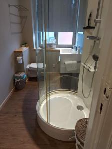uma casa de banho com um chuveiro e uma porta de vidro em B&B Le Notaire em Bomal
