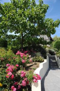 un jardin avec des fleurs roses et une clôture blanche dans l'établissement Le Vieux Pressoir, à Pont-l'Évêque