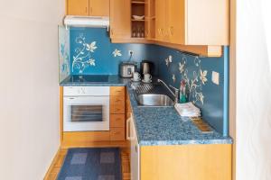 Η κουζίνα ή μικρή κουζίνα στο Apartment Vila Golf