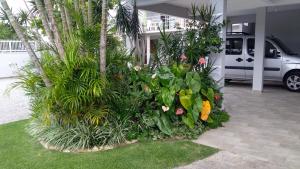 a bunch of plants in front of a house at Casas Adilio Florianopolis-norte in Florianópolis