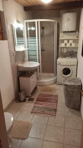 un bagno con doccia, lavandino e WC di WOODEN HOUSE near the River Kupa a Kamanje Altre 54 foto
