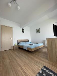 - une chambre avec un lit et une télévision dans l'établissement Blue Apartament by Moonlight, à Mamaia