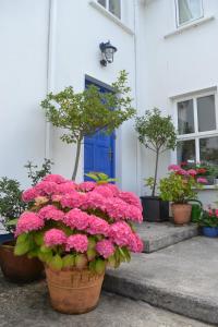 Vườn quanh Guaire House Killarney
