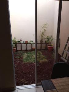 a view of a patio with potted plants through a sliding glass door at La Casa Del Pinito in Sonsonate