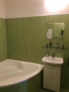 a green bathroom with a tub and a sink at Apartmán Abertamy in Abertamy