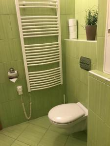 a green tiled bathroom with a toilet and a sink at Apartmán Abertamy in Abertamy
