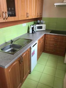 a kitchen with a sink and a microwave at Apartmán Abertamy in Abertamy